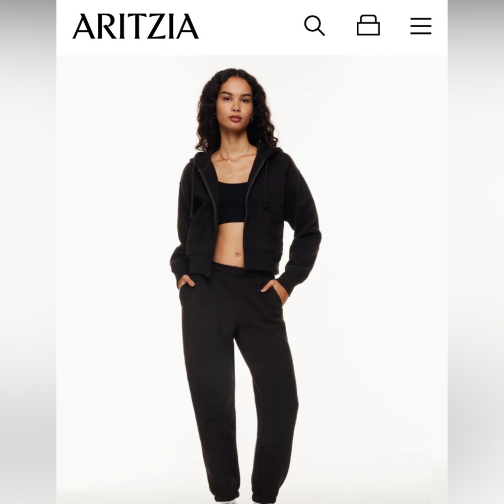 Aritzia TNA sweatpants
